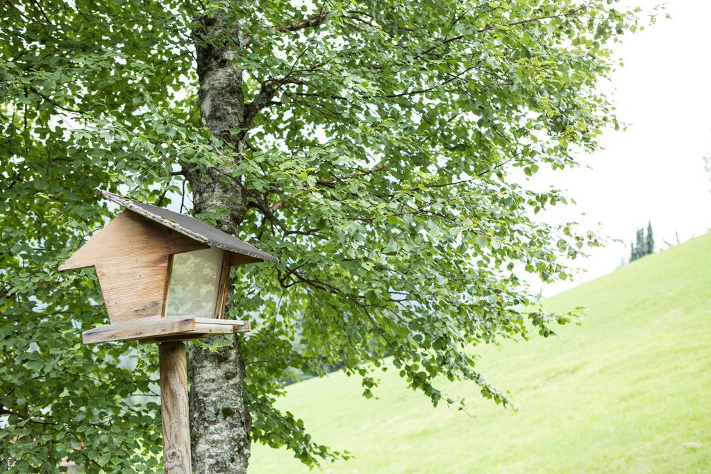 Ferienhaus Sara バド クラインキルヒハイム エクステリア 写真